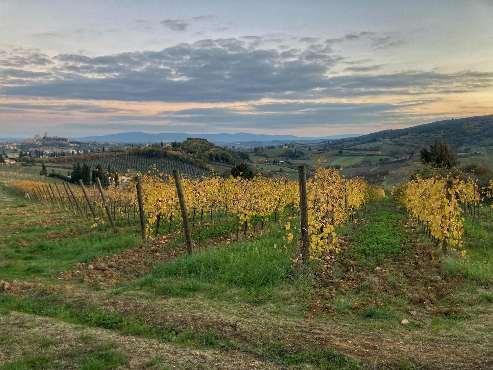 La Casa Rossa Arcola Con Vista Villa Luaran gambar